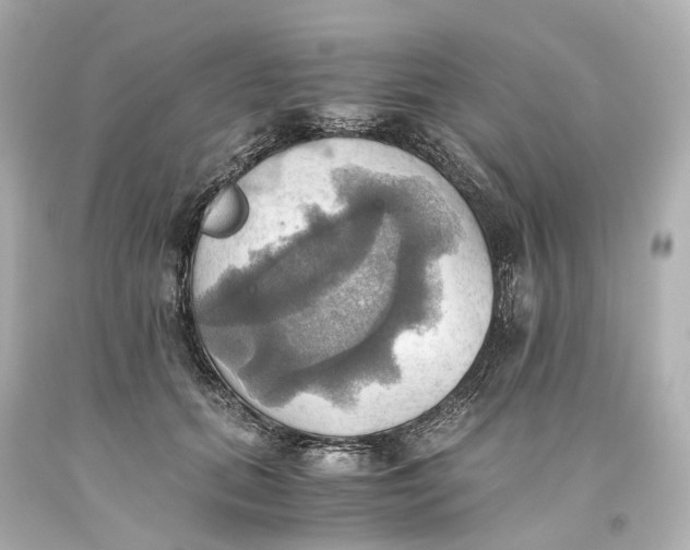 X0000093610655200711051220
