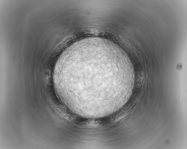 X0000093610656200711051220