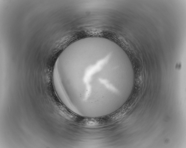 X0000093610658200711051220