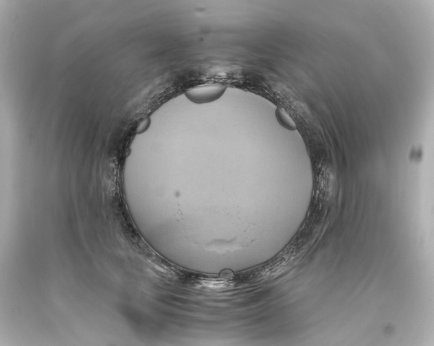 X0000093610659200711051220
