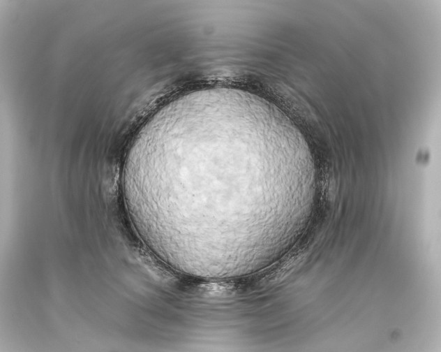 X0000093610660200711051220