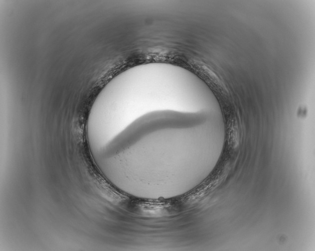 X0000093610661200711051220