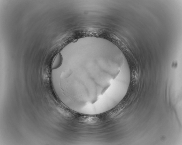 X0000093610663200711051220