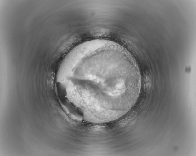 X0000093610664200711051220