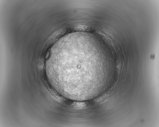 X0000093610665200711051220