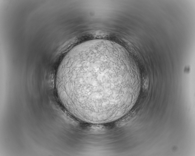 X0000093610666200711051220