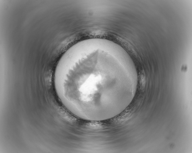 X0000093610668200711051220