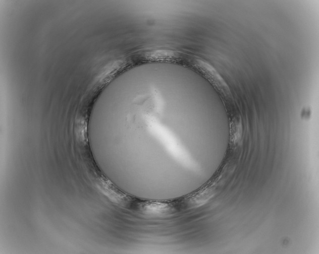 X0000093610669200711051220