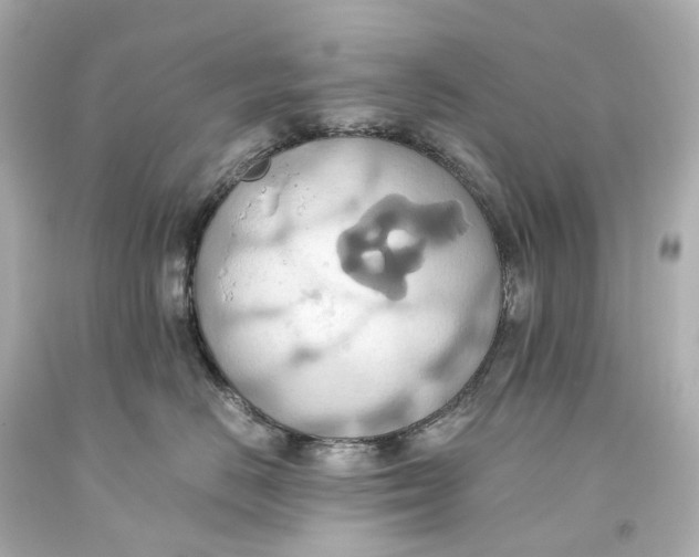 X0000093610670200711051220