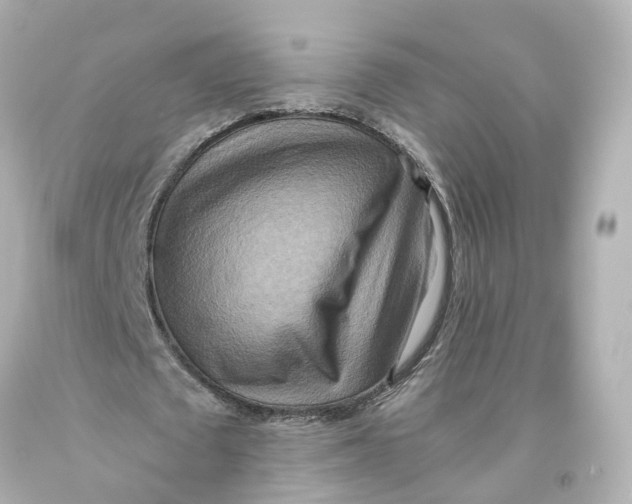 X0000093610673200711051219