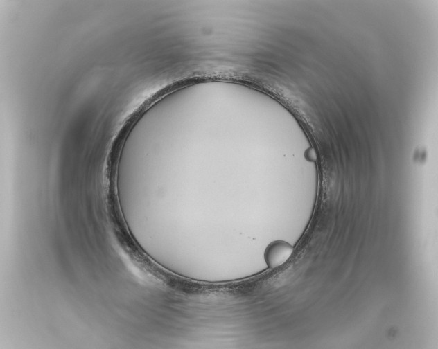 X0000093610674200711051219