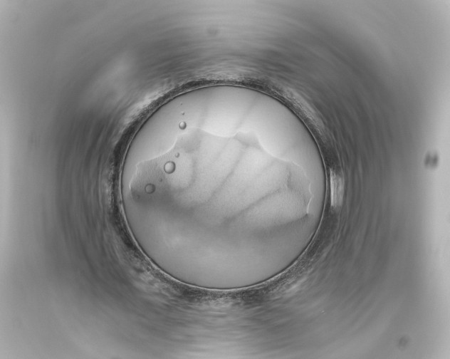 X0000093610675200711051219