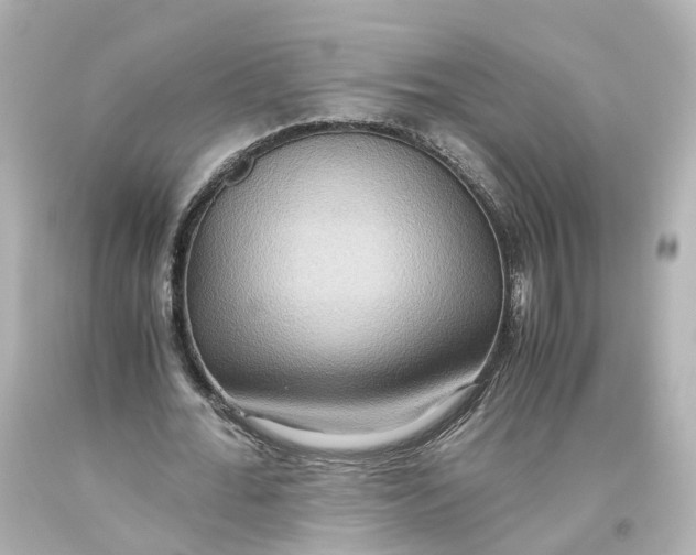 X0000093610676200711051219
