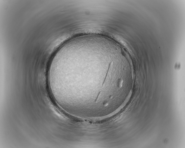 X0000093610677200711051219