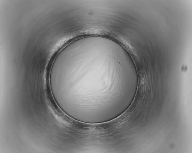 X0000093610678200711051219