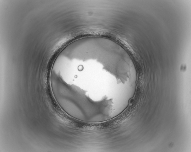 X0000093610679200711051219