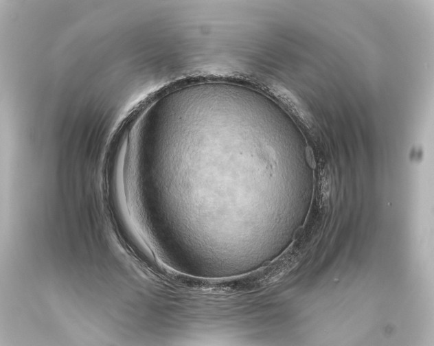 X0000093610680200711051219