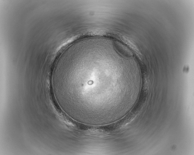 X0000093610681200711051219