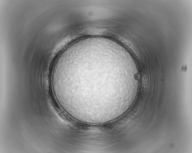 X0000093610682200711051219
