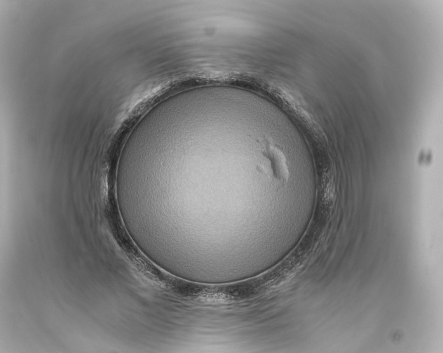 X0000093610685200711051219