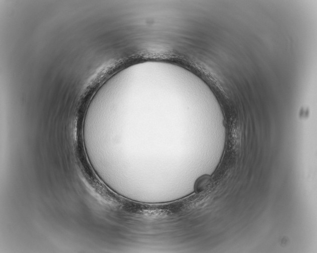 X0000093610686200711051219