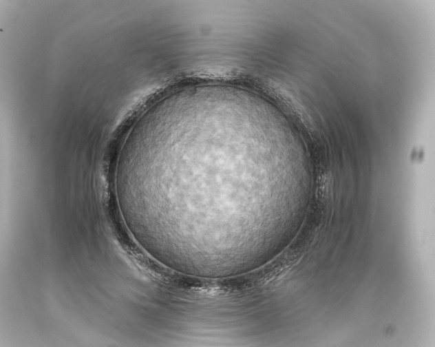 X0000093610688200711051219