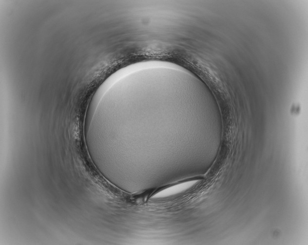 X0000093610689200711051219