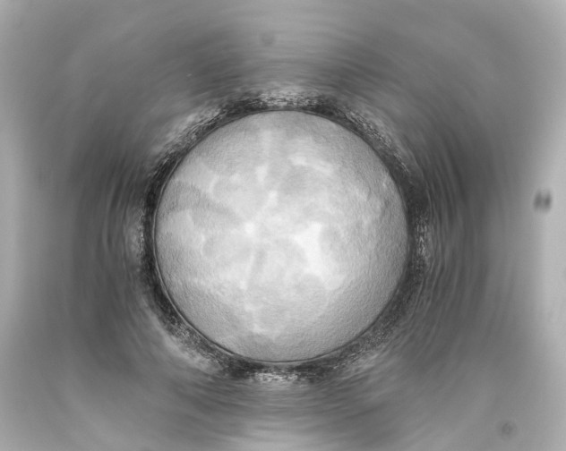 X0000093610690200711051219