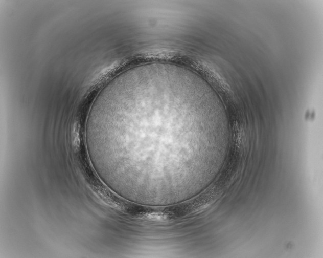 X0000093610692200711051219