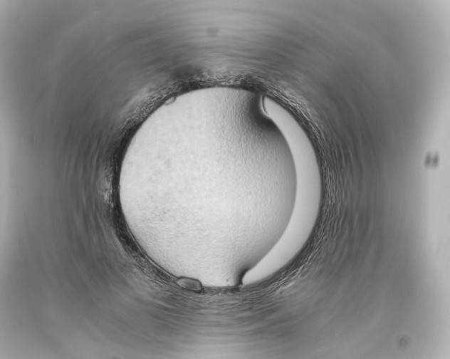 X0000093610693200711051219