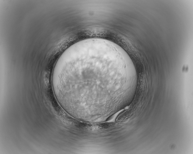 X0000093610695200711051219
