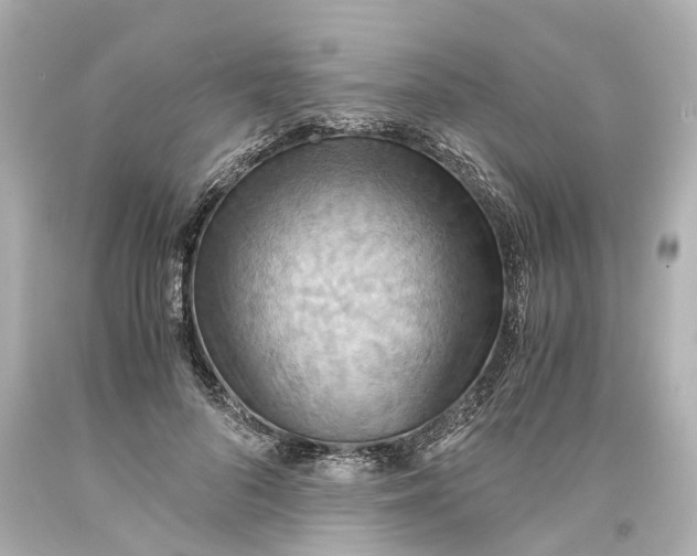 X0000093610696200711051219