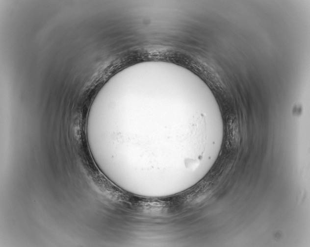 X0000093610698200711051219