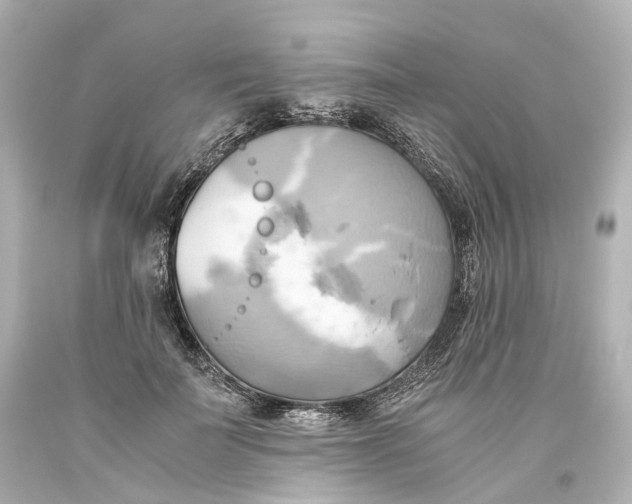 X0000093610699200711051219