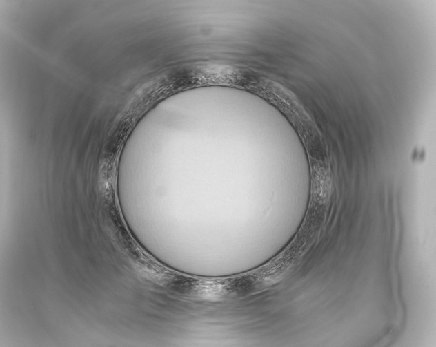 X0000093610701200711051219