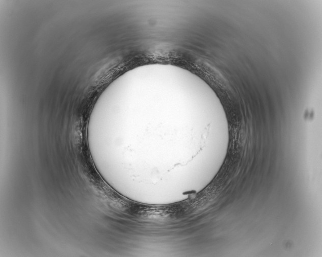 X0000093610702200711051219
