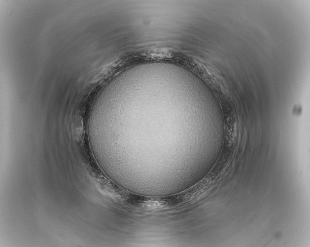 X0000093610704200711051219