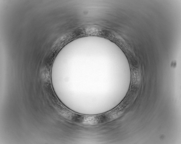 X0000093610705200711051219