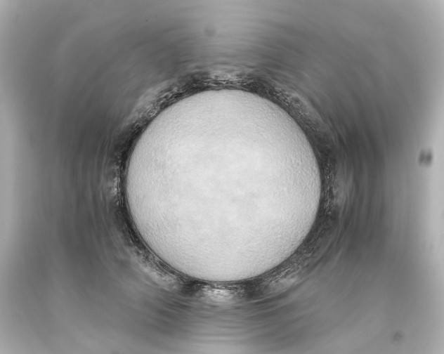 X0000093610706200711051219