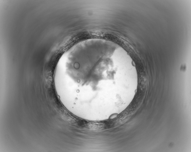 X0000093610707200711051219