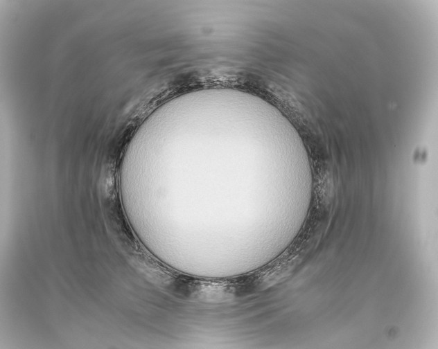 X0000093610709200711051219