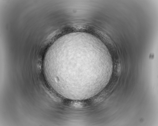 X0000093610710200711051219