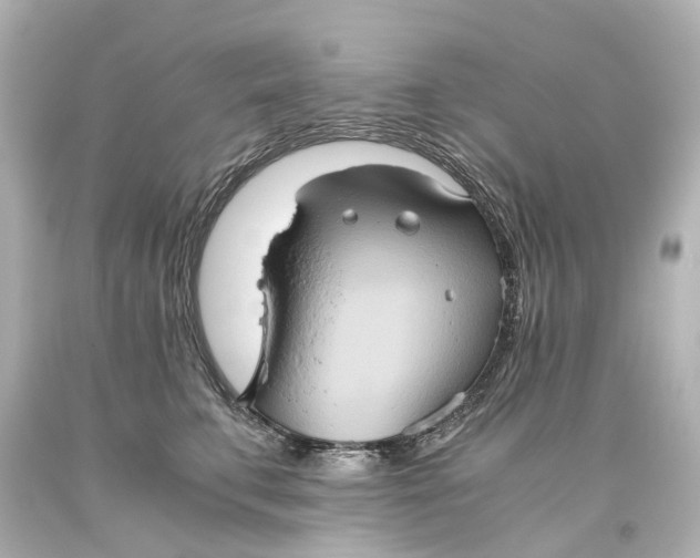X0000093610711200711051219