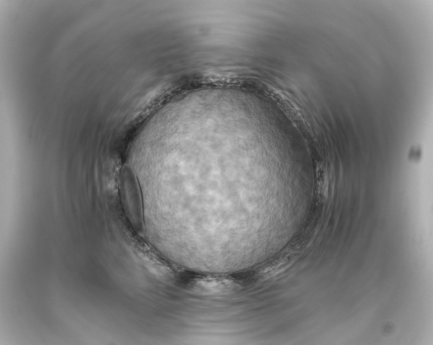 X0000093610712200711051219