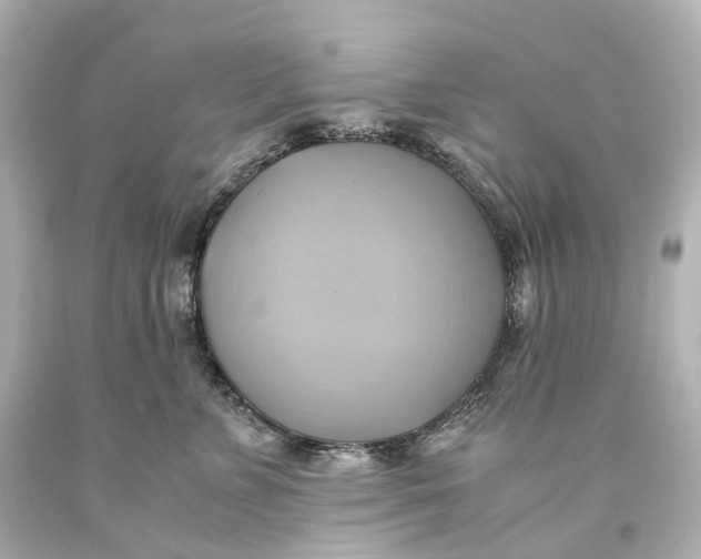 X0000093610715200711051219