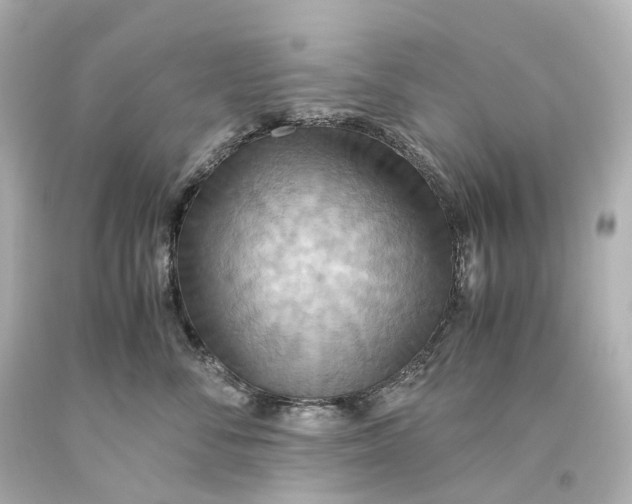 X0000093610716200711051219