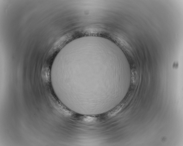 X0000093610718200711051219
