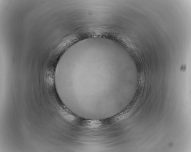 X0000093610719200711051219