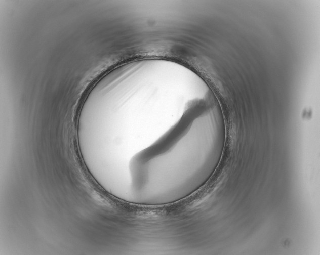 X0000093610721200711051218