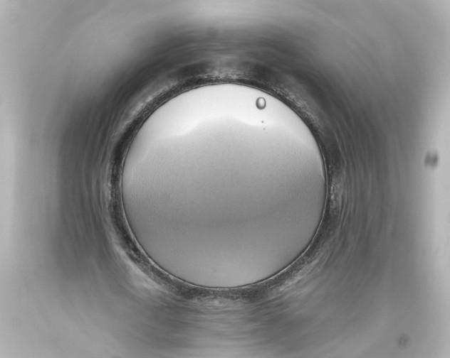 X0000093610722200711051218